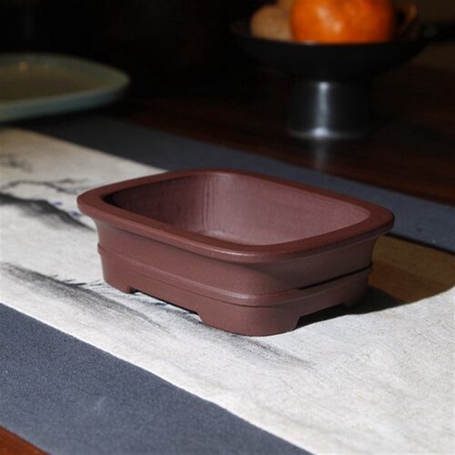 腰线飘口马槽盆荆阳一族蒋红翠松柏盆景石化桧精品紫砂花盆