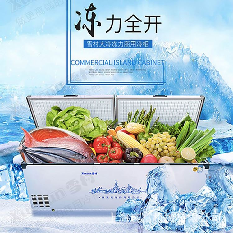 雪村卧式冰箱冰柜 商用冷冻柜大容量冷藏保鲜冷冻柜 单双温展示柜