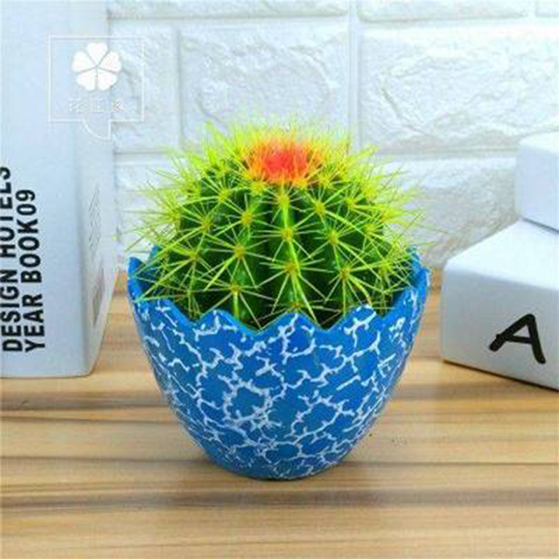 金虎仙人球盆栽 办公室桌面防辐射多肉植物客厅卧室绿植 含盆包邮