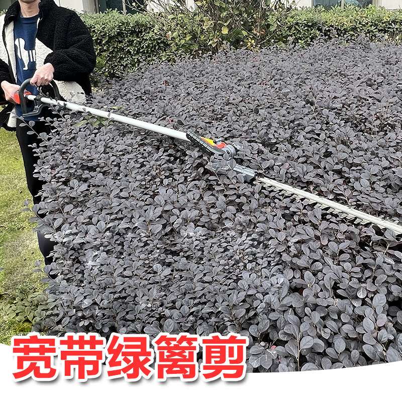 奥晟机械A40KD22高枝绿篱机手持式锂电双刃宽带绿篱机园林修枝剪