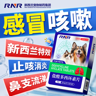 RNR新西兰宠物制药宠物感冒药