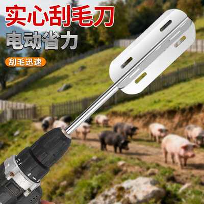 锂电专用刮毛刀头屠宰脱毛猪毛不