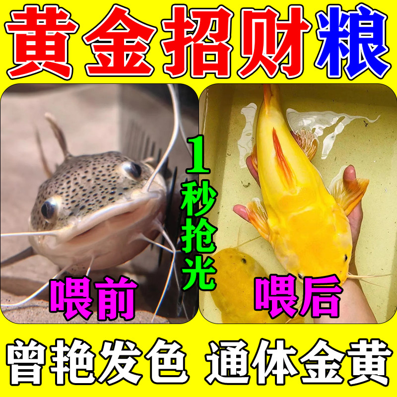 招财猫鱼专用饲料观赏底栖鱼食增观赏鱼饲料