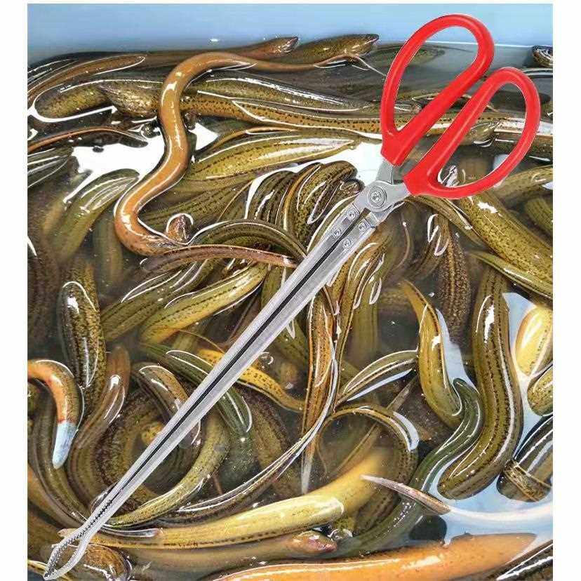 直销新款不锈钢黄鳝夹抓泥鳅钳子夹子垃圾夹子驱蛇赶海工具带齿螃