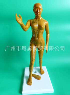 新款直销清晰刻字版 字体人体经络模型针灸穴位模型女50cm 铜色十