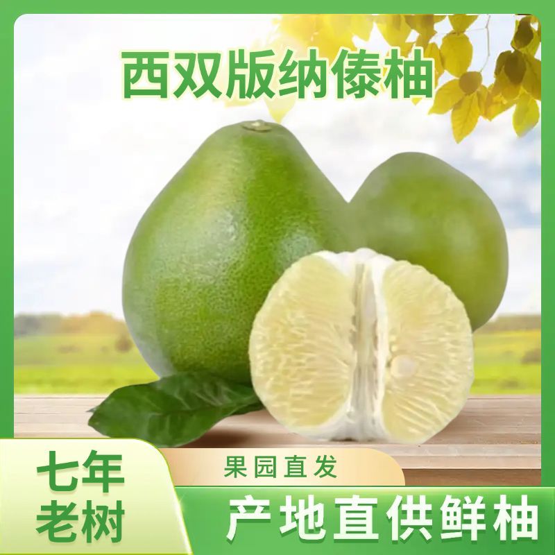 版纳柚子云南特产水果版纳新鲜水果孕妇果东试早青柚爆汁傣柚