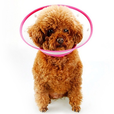 Pet Protective Collar Dog Wound Healing Protection Neck Cone