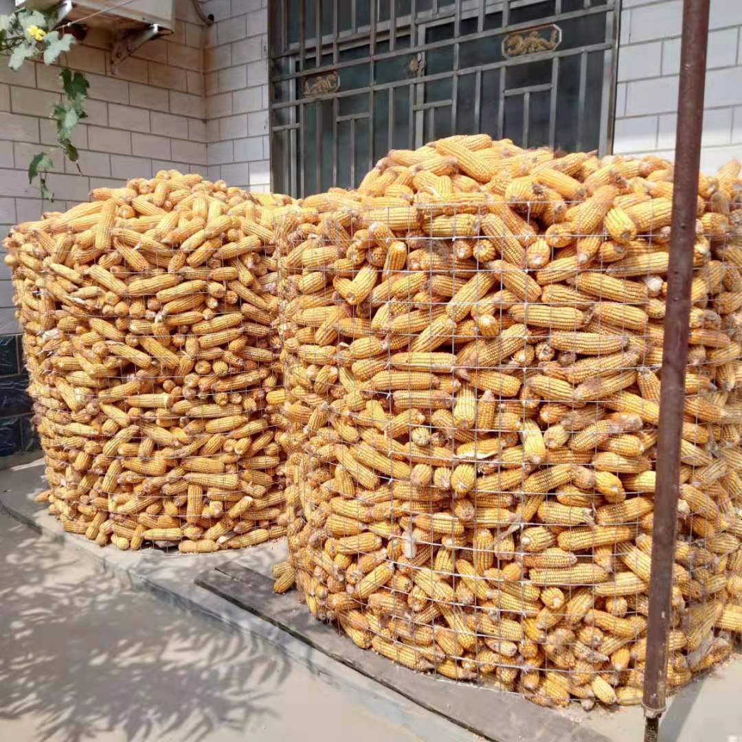 爆品铁丝菜园镀锌铁丝网围栏养殖隔离网围鸡网网网铁笼阳台围品