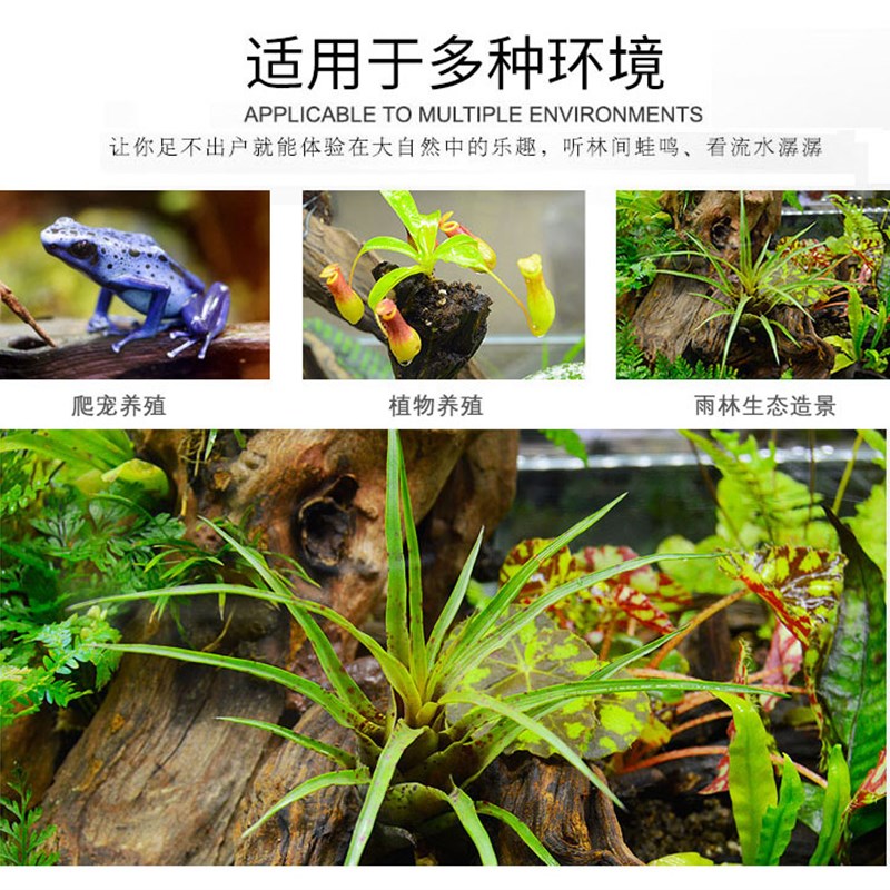 雨林缸雨淋缸生态造景缸热带雨林植物蜥蜴爬宠爬虫守宫饲养箱