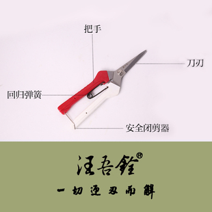 汪吾铨剪刀园艺剪刀套餐园林工具家用果树枝剪修花剪嫁接剪粗枝剪