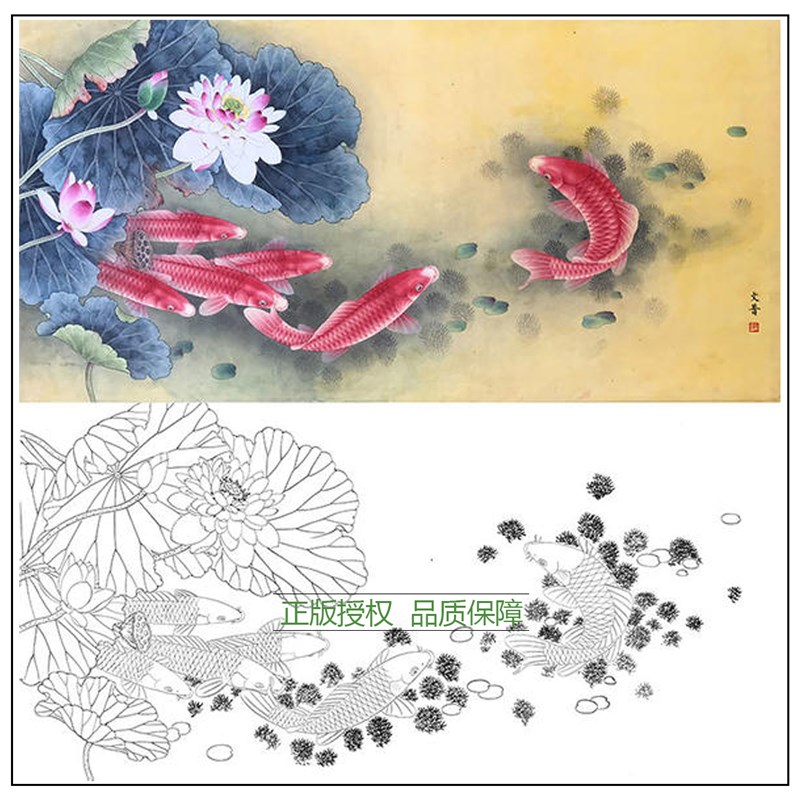 工笔画白描底稿於文普荷花鲤鱼实物白纸勾线打印稿尺寸可选-WP15