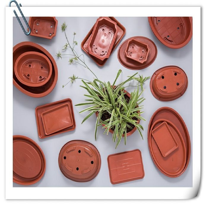 大口浅底花盆浅口宽口大多肉大号种肉肉的花盆矮扁塑料低托盘超大