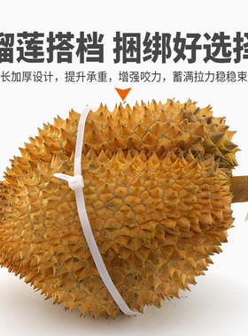 尼龙扎带绑榴莲5*600x650x720塑料细长白色扎带防开裂超长固定带
