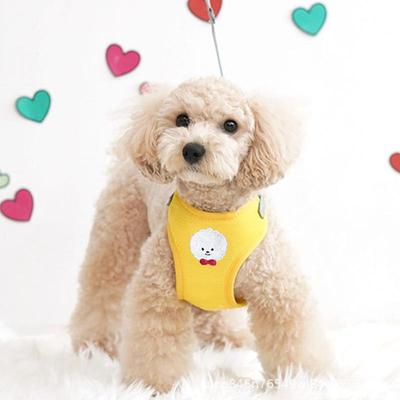 新款直销宠物用品狗狗牵引绳小型犬背心式胸背家用牵引绳比熊泰迪