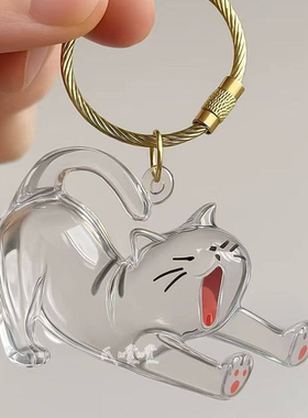 小猫毛发透明收纳盒宠物毛发挂件可爱猫咪猫猫形状创意挂件钥匙扣