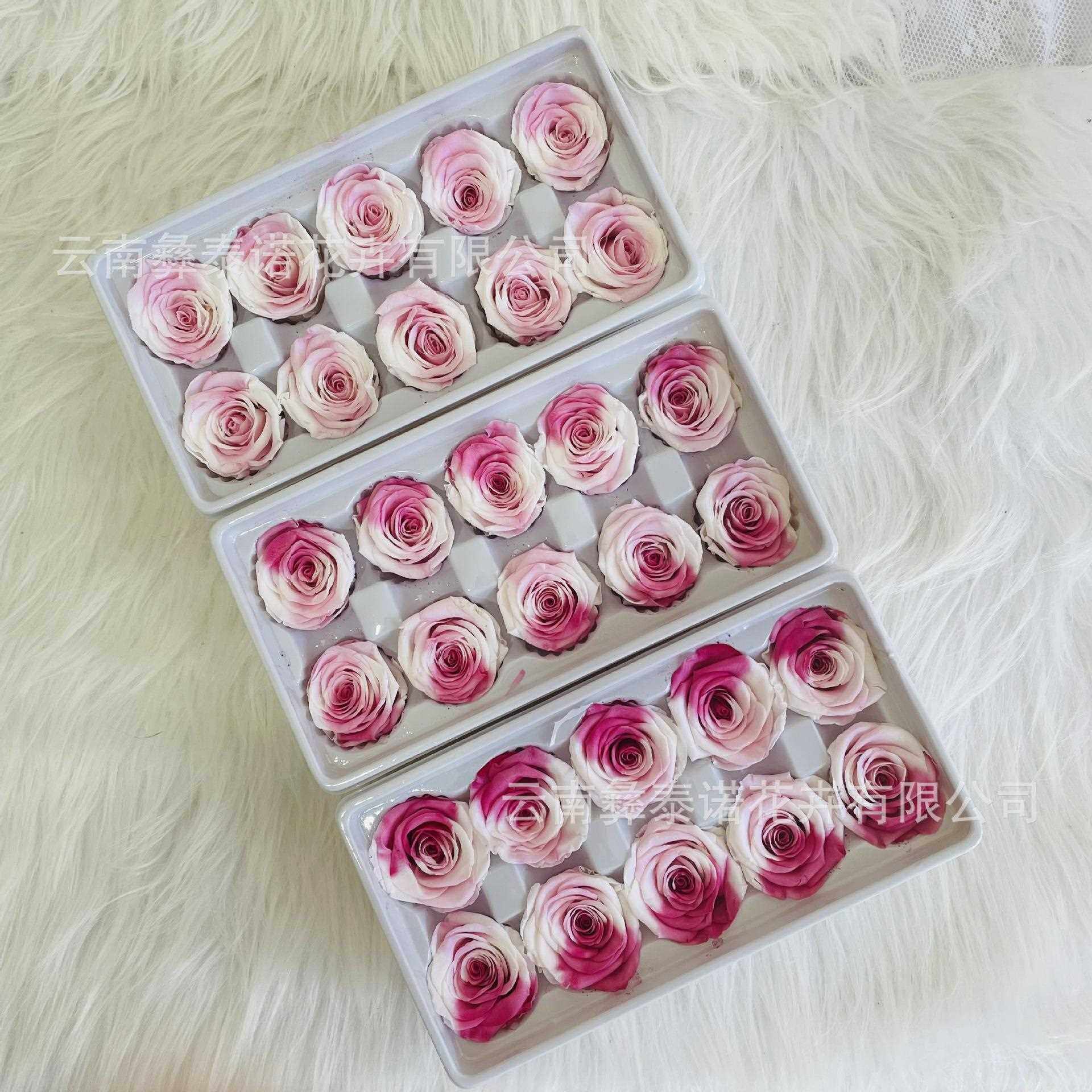 直销新款永生花渐变双色玫瑰 草莓熊10朵装DIY玫瑰花云南,家居饰品,餐桌花艺,淘宝优惠券,粉丝福利购,淘宝优惠卷