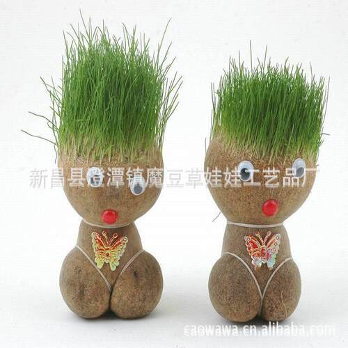新款直销大眼萌仔大平头哥中大号草头娃娃青草种植黑麦猫草长草植