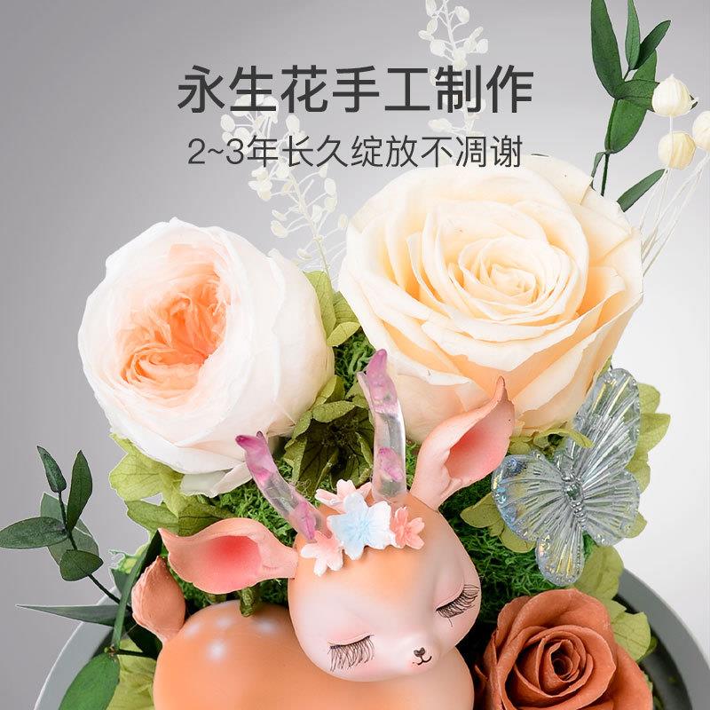新款直销创意永生花玫瑰小鹿微景观玻璃罩礼盒送女友生日礼物情人