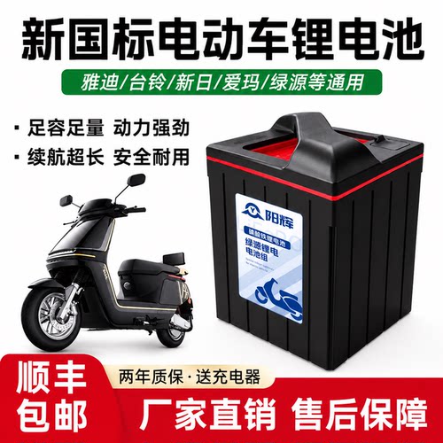 适用台铃爱玛电动车48V锂电池