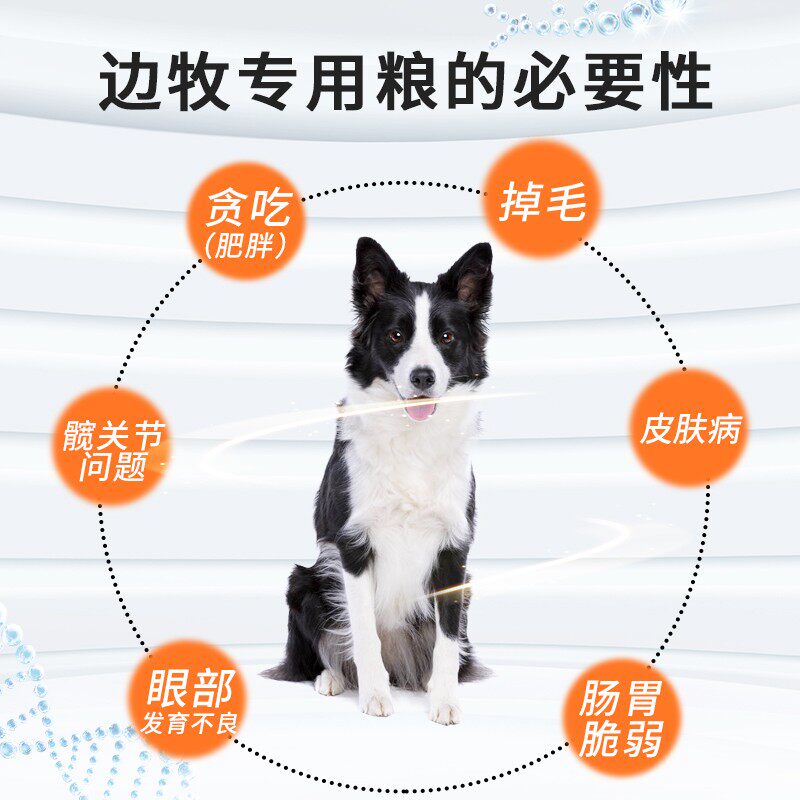边牧狗粮专用40斤装冻干粮幼犬美毛成犬健体中型犬苏牧边境牧羊犬