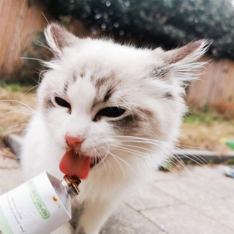 【尼克力荐】麦德氏高效营养猫咪化毛膏120g化毛膏营养膏猫咪化毛