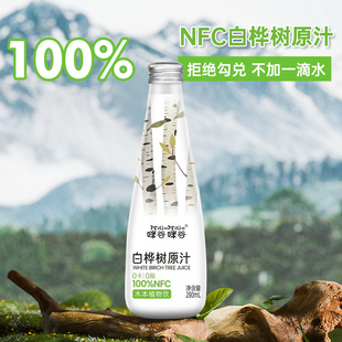 白桦树原汁100%NFC木本植物饮品健康解腻清爽饮料餐饮店15瓶批发