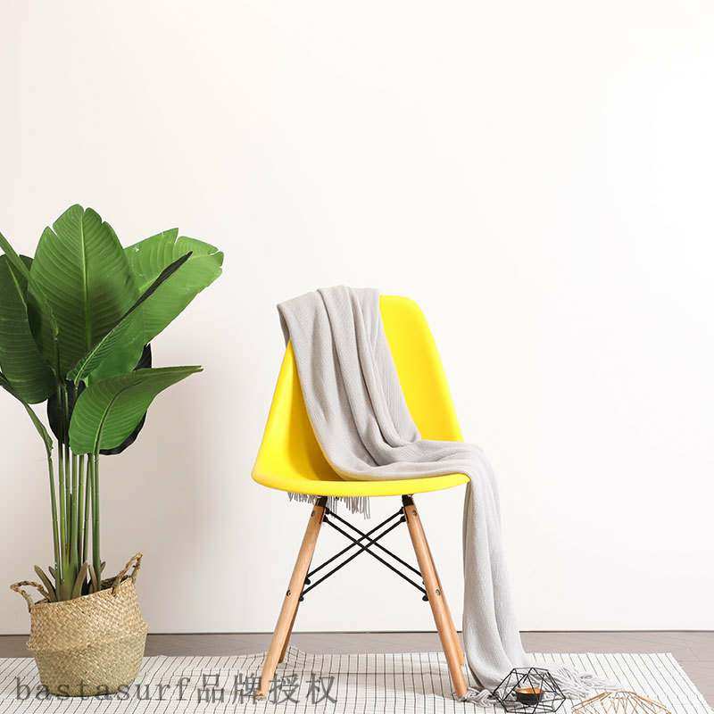 Nordic Eames chair modern simple leisure chair household ch