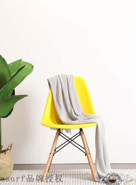 Nordic Eames chair modern simple leisure chair household ch