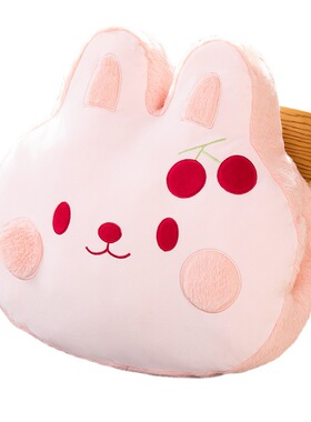 极速soft Animal Blanket Cute Nap Pillow Hand Warmer sleep Pl