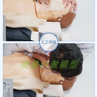 CPR590心肺复苏模拟人工呼吸假人全身人体模型急救橡皮 极速优模