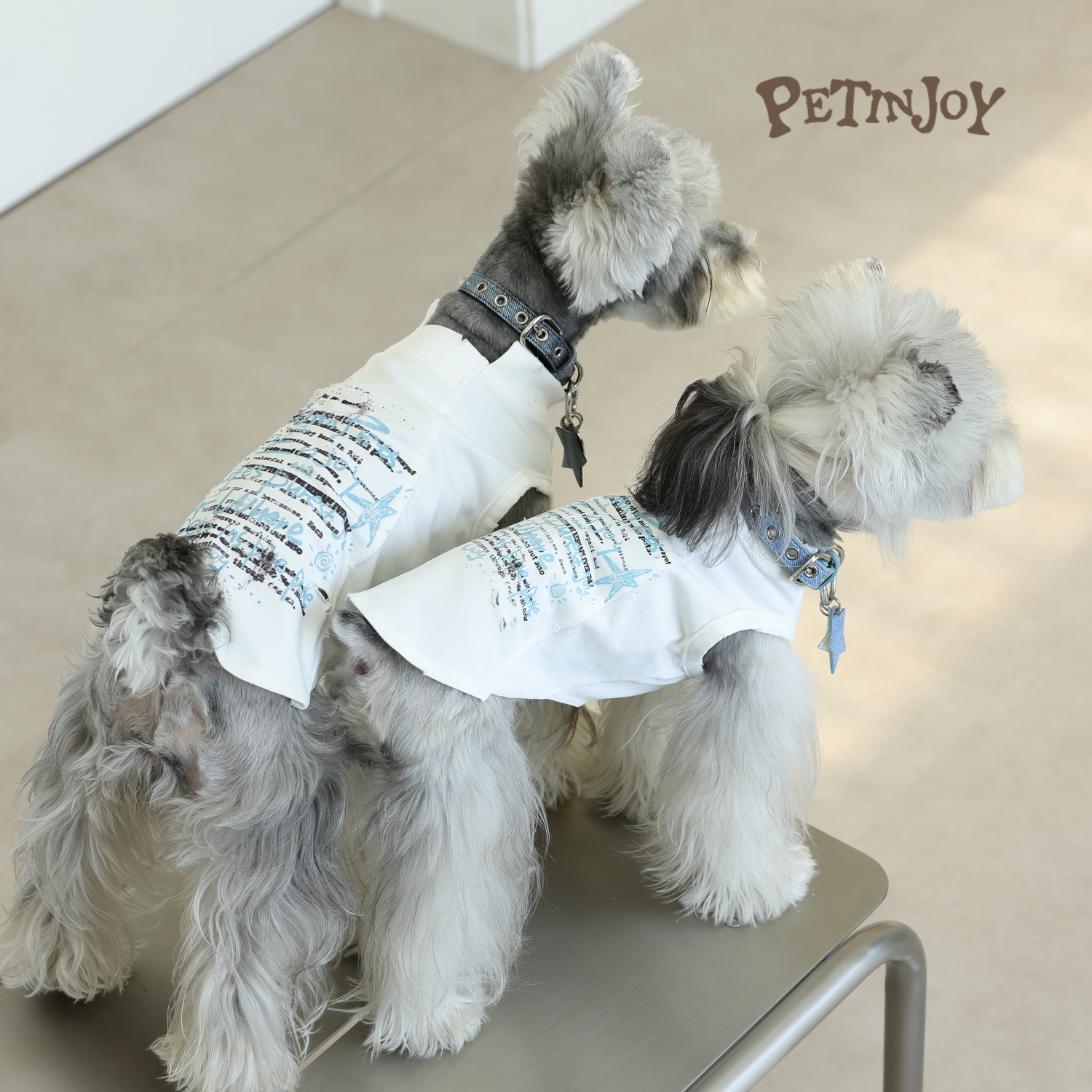 Petinjoy「解构破坏」做旧磨损工艺错位字母涂鸦印花宠物背心