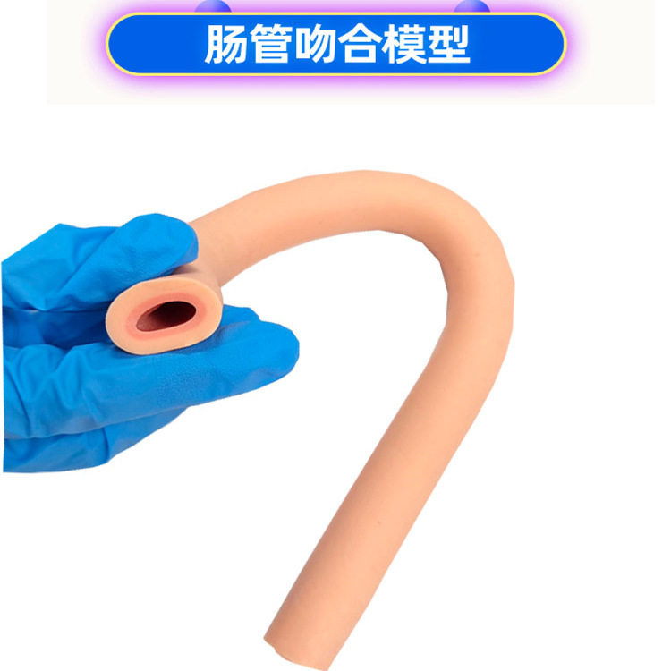 肠管吻合模型外科技能切开缝合