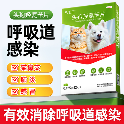 【速诺同款】宠物呼吸道咳嗽感染