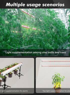 LED株间YZM灯1.米IP672防水树生下全种光谱植物室内工厂植补光长