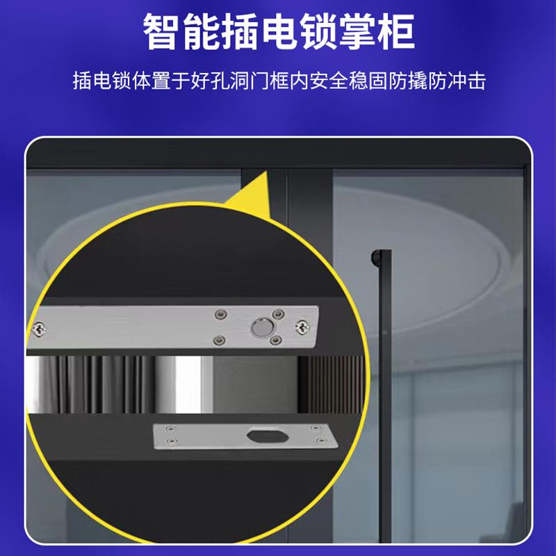 跨境温电电插锁锁仓库防火门锁智能电子锁常时低温延门禁锁冰插柜