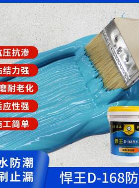 168防水料泳池防水涂料16.8kg/桶GNV蓝色卫池生间浆补漏鱼材料