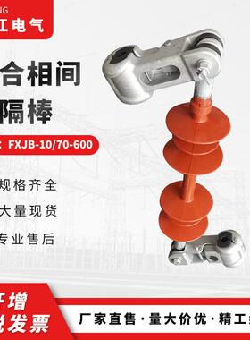 1J0KV复合防F舞动相间间FXJB-10/隔棒X0B-10/70-60间隔棒线路绝缘