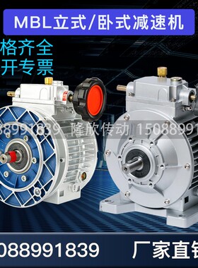 WB微型摆线针轮减速机wb65-85-100 120立卧式WD变速器小型齿轮箱