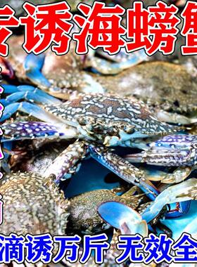 螃蟹饵料抓螃蟹诱饵通杀强力抓钓螃蟹神器河蟹海蟹青蟹诱捕笼饵料