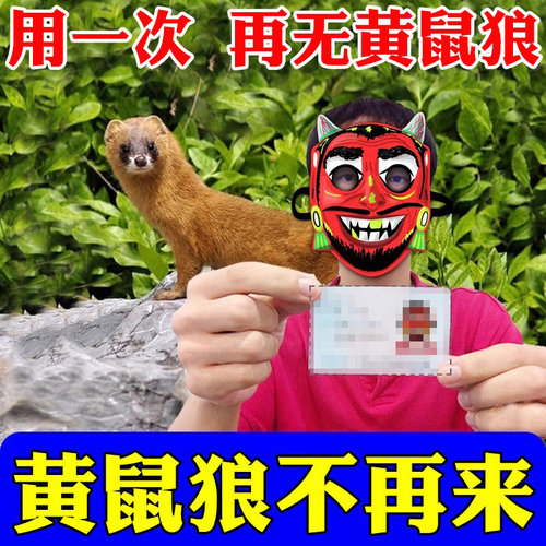 养鸡防黄鼠狼驱赶神器专用药养殖场鸡窝鸡舍黄鼠狼防吓野兽克星