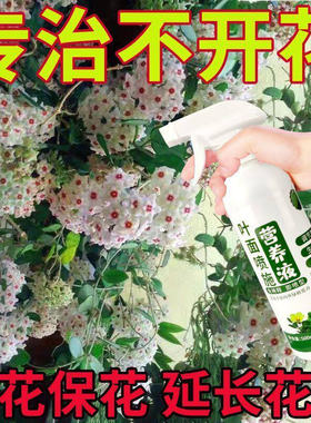 适合各种花的营养液球兰催花肥催花防黄叶花多花期长球兰专用肥球