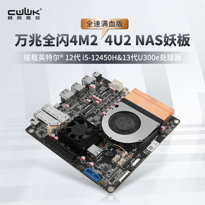 畅网I5-12450H4xU.2万兆NAS
