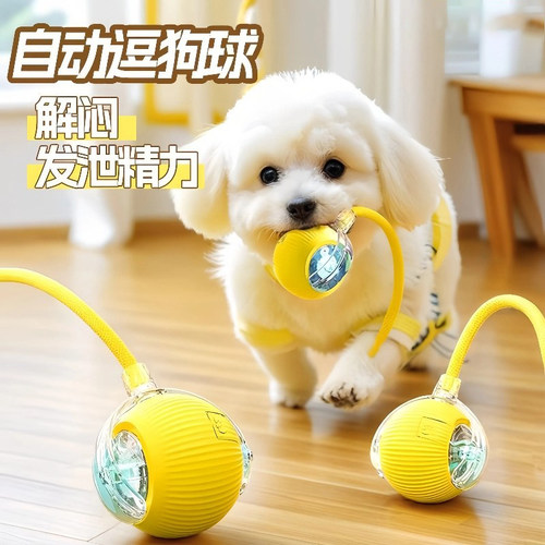 狗狗玩具自动遛狗球宠物小狗