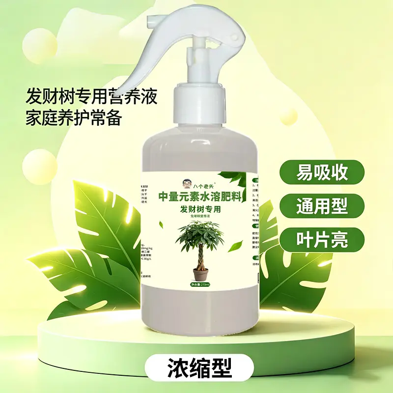 八个老头发财树专用去黄叶防烂根