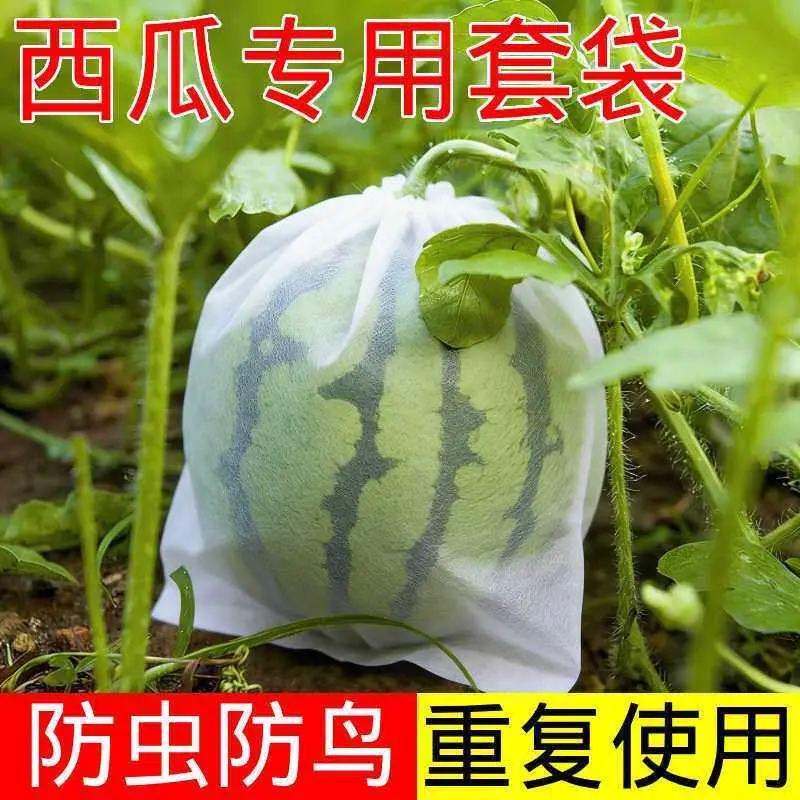 西瓜无纺布套袋葡萄水果保护袋