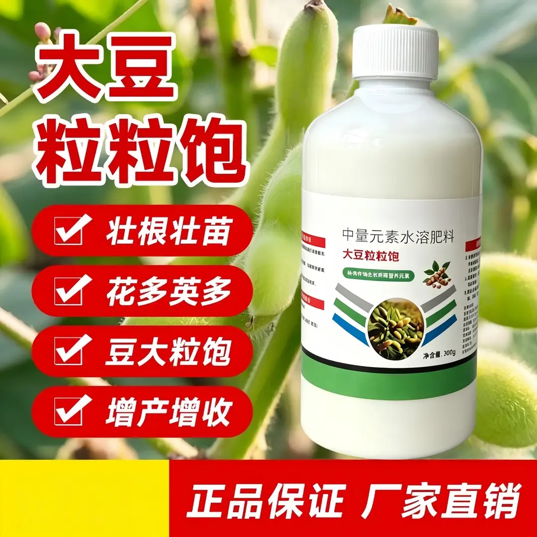 大豆粒粒饱大豆专用籽粒饱满