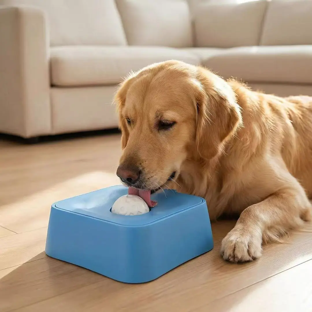 狗狗慢食碗小中大型犬食盆水盆