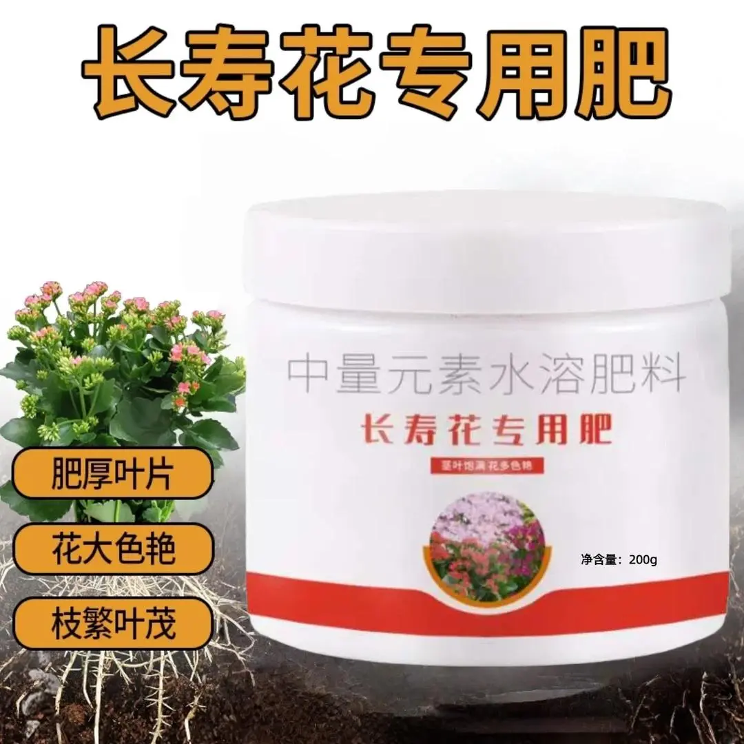 长寿花专用肥肥厚叶片花大叶面肥