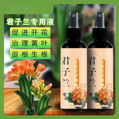 君子兰促箭剂催花营养液促花液体