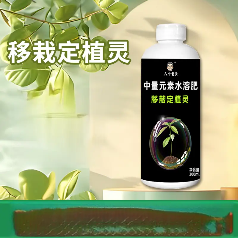 八个老头移栽定植灵弱苗转壮肥料